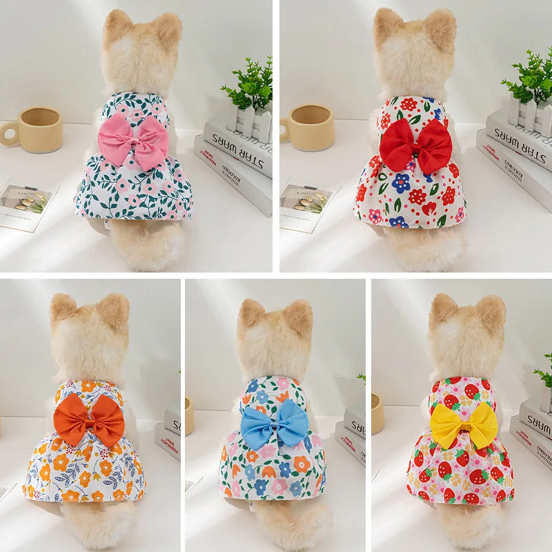 Pawsitively Royal Pet Dress: Sweet Springtime