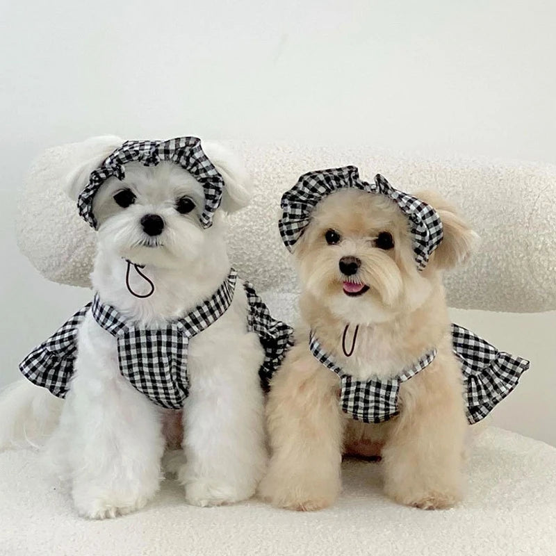 Pawsome Plaid Pet Ensemble: Summer Chic