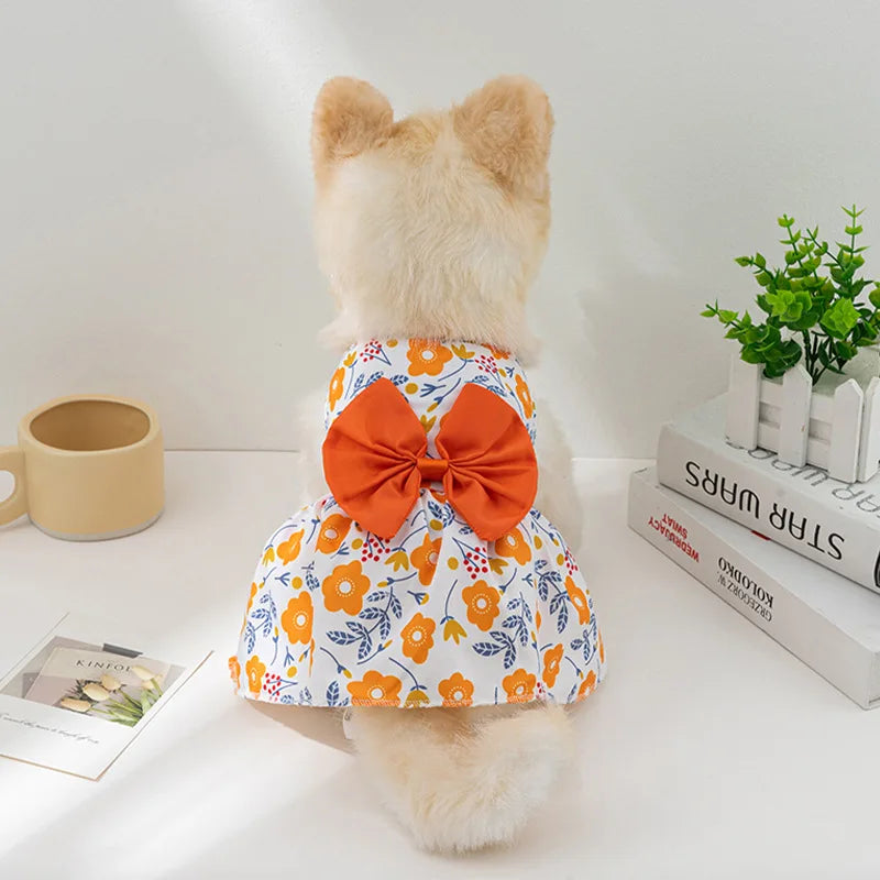 Pawsitively Royal Pet Dress: Sweet Springtime