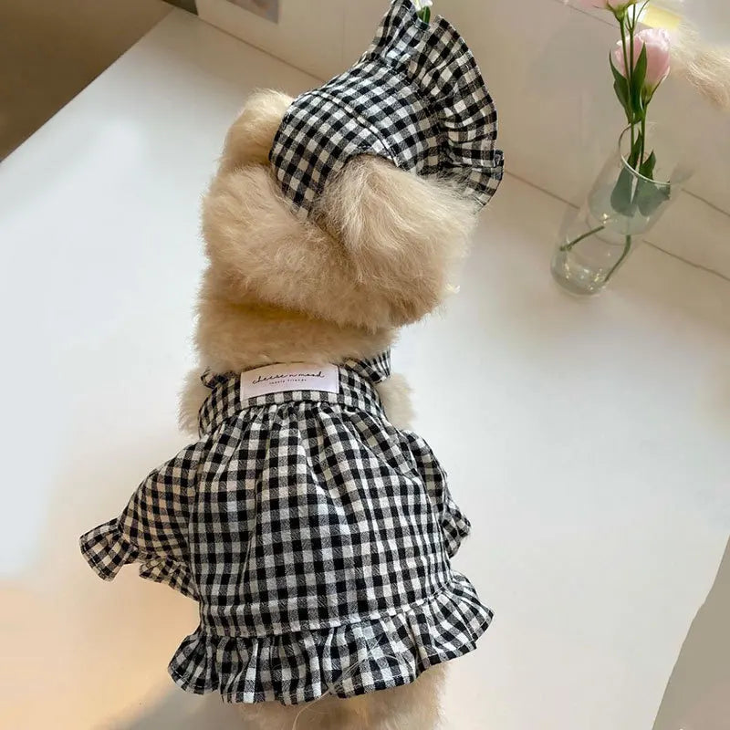 Pawsome Plaid Pet Ensemble: Summer Chic